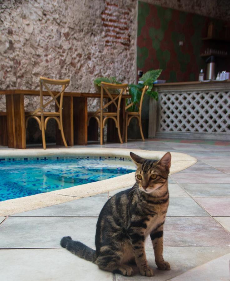 Casa Zahri Boutique Hostel Cartagena エクステリア 写真